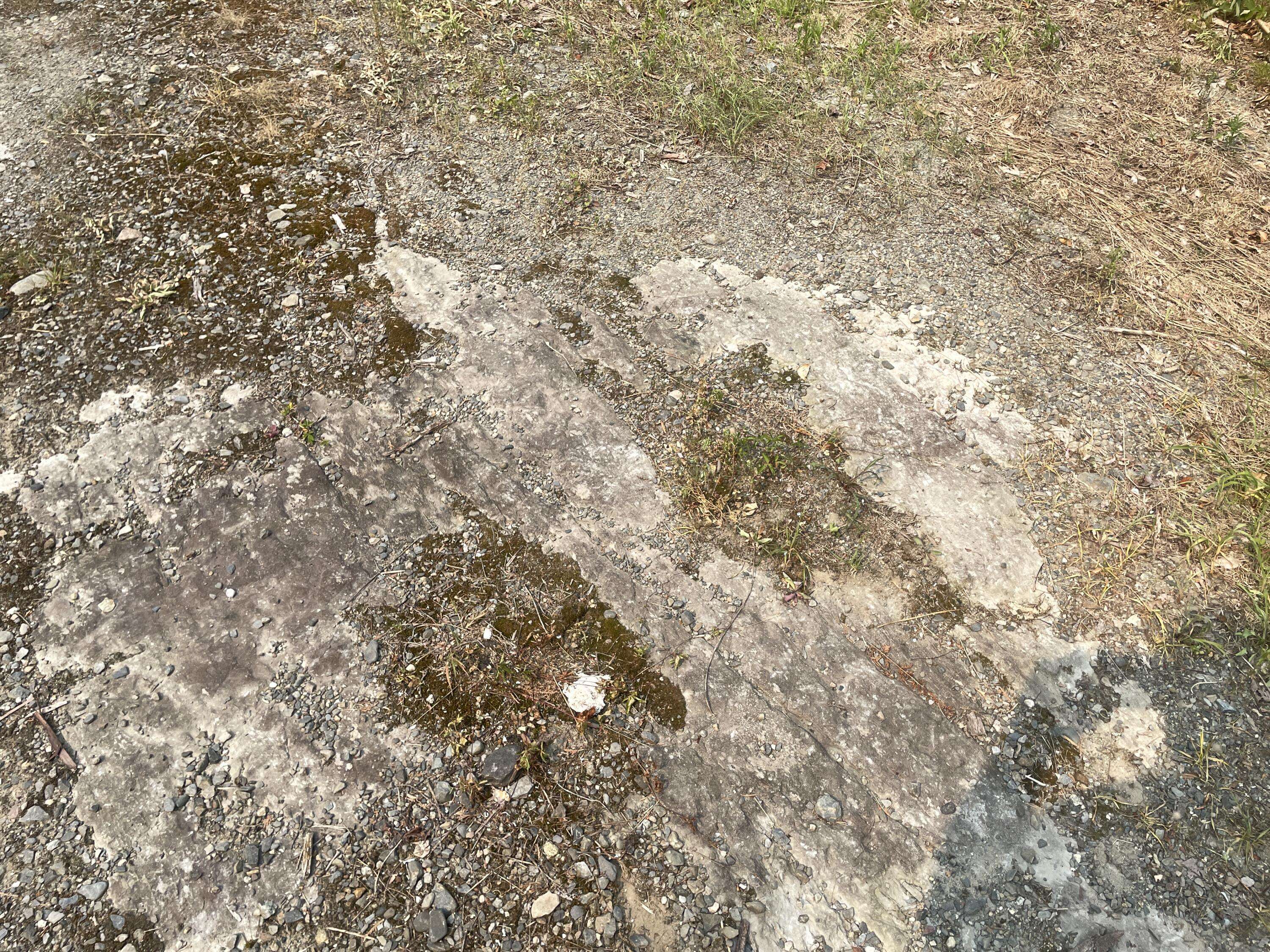 Wellington, ME 04942,#00 HUFF CORNER RD