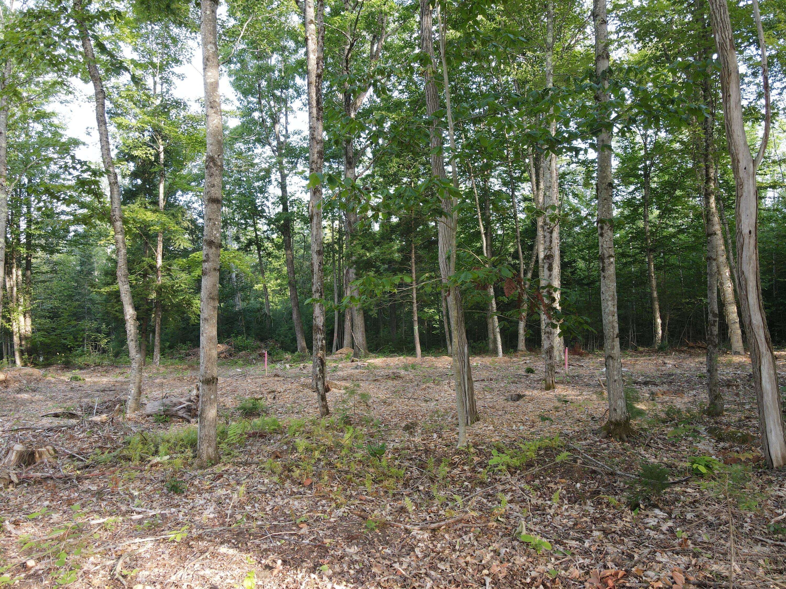 Skowhegan, ME 04967,Lot 6 Oak Pond RD