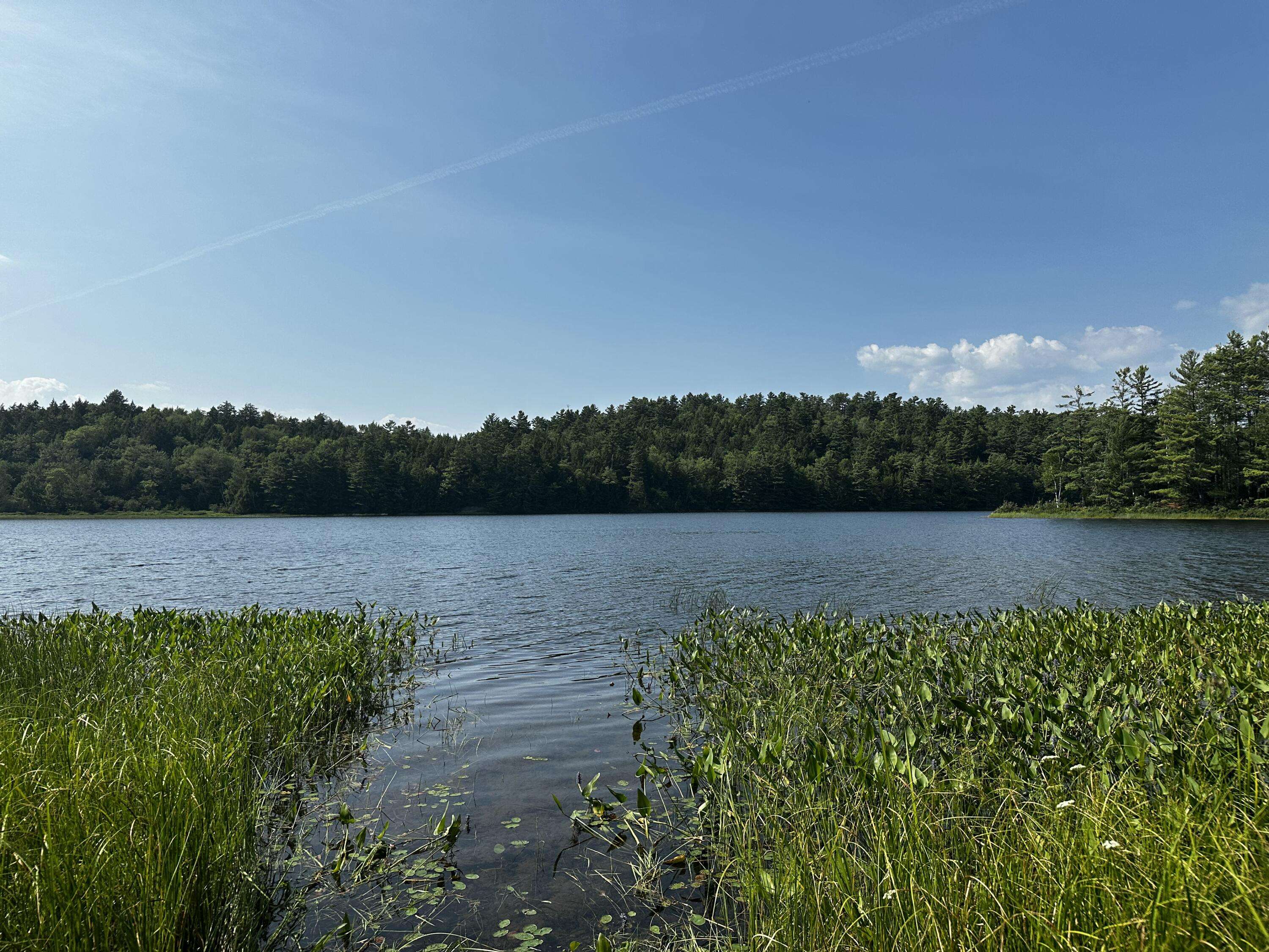 Bucksport, ME 04416,Lot 005 State Route 46 Route