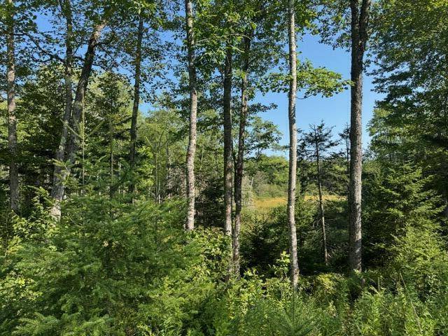 Penobscot, ME 04476,Map4 Lot26 Southern Bay RD