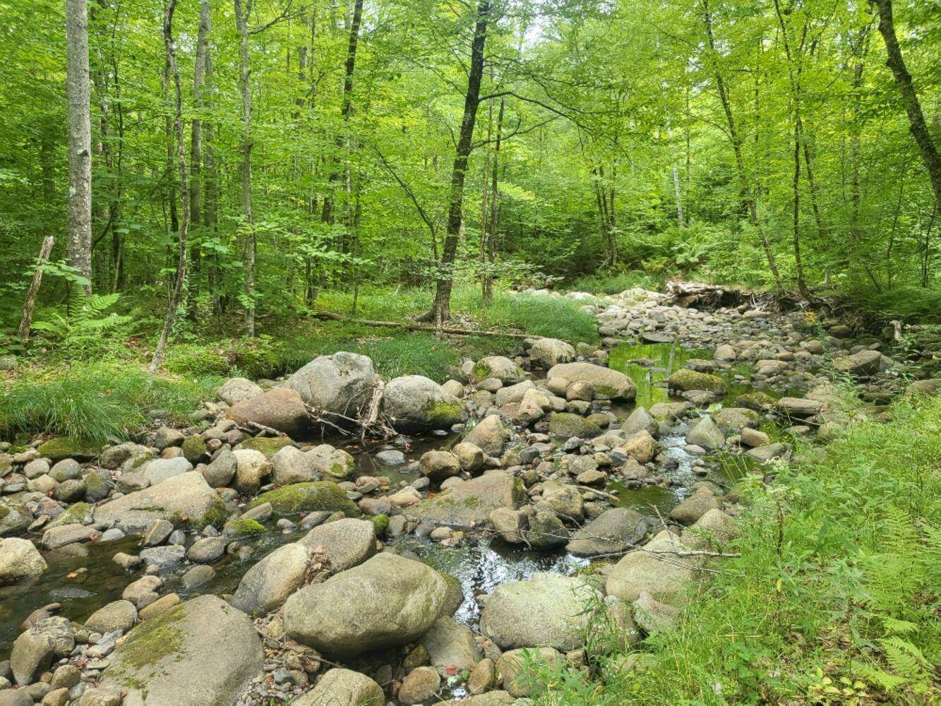 Carthage, ME 04224,189 Basin RD