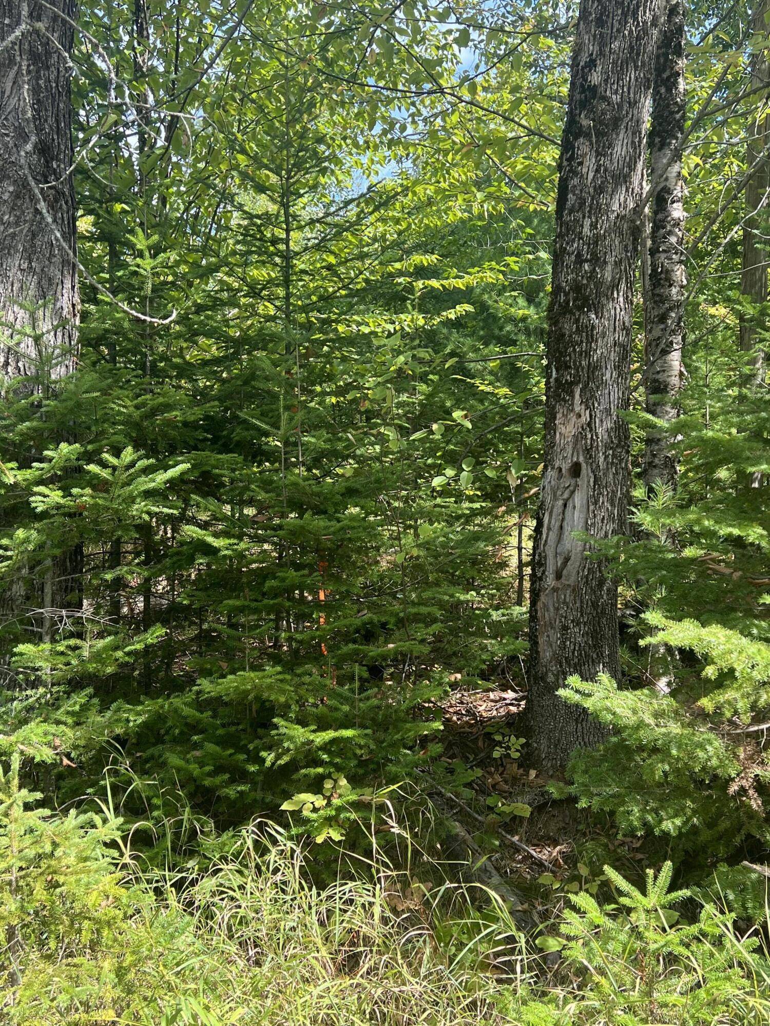 Brownville, ME 04414,M4L46-1 Church ST