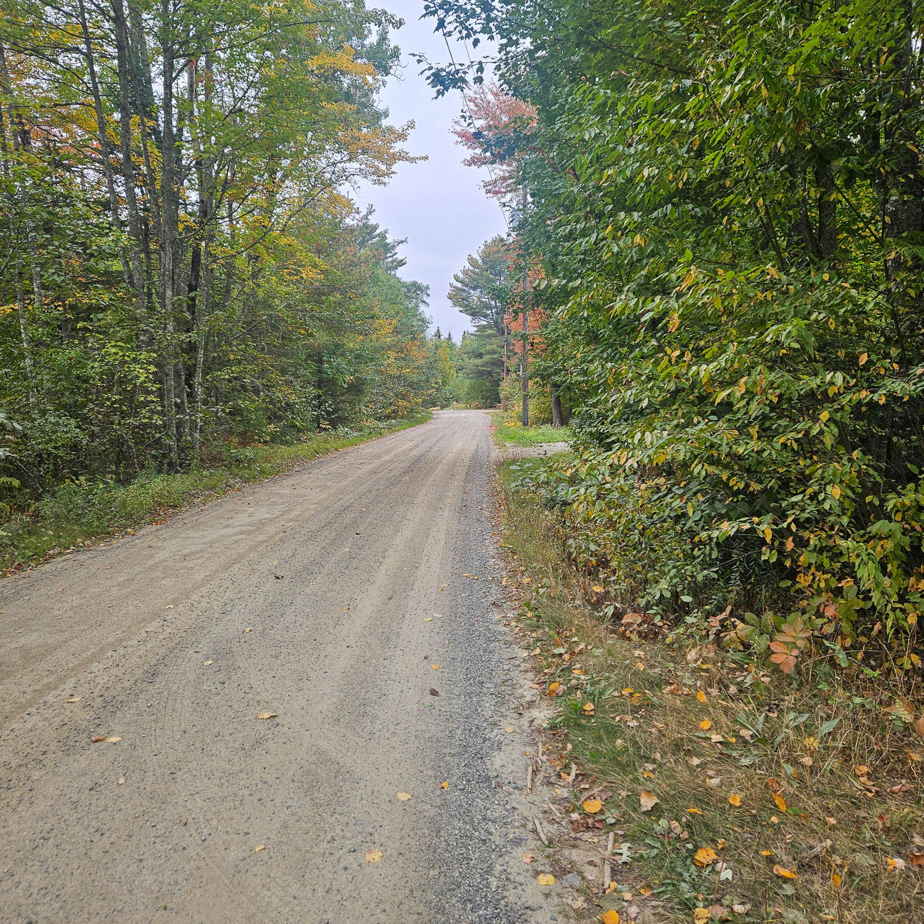 Mariaville, ME 04605,206 Morrison Farm RD