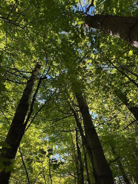 Smithfield, ME 04978,Lot 1 Oak Hill RD