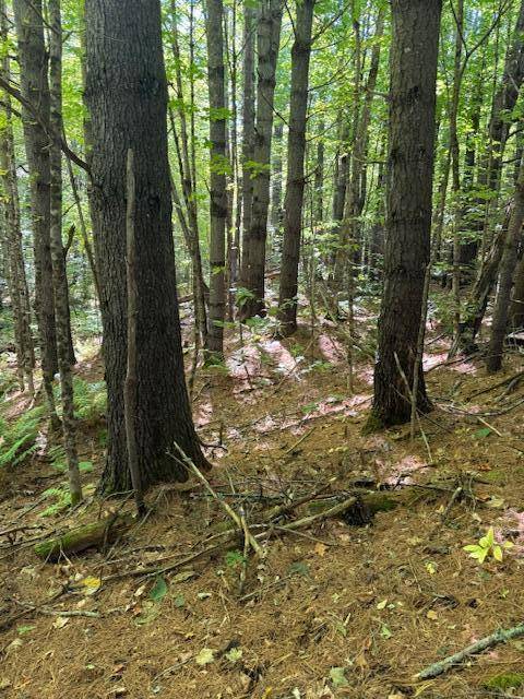 Smithfield, ME 04978,Lot 1 Oak Hill RD