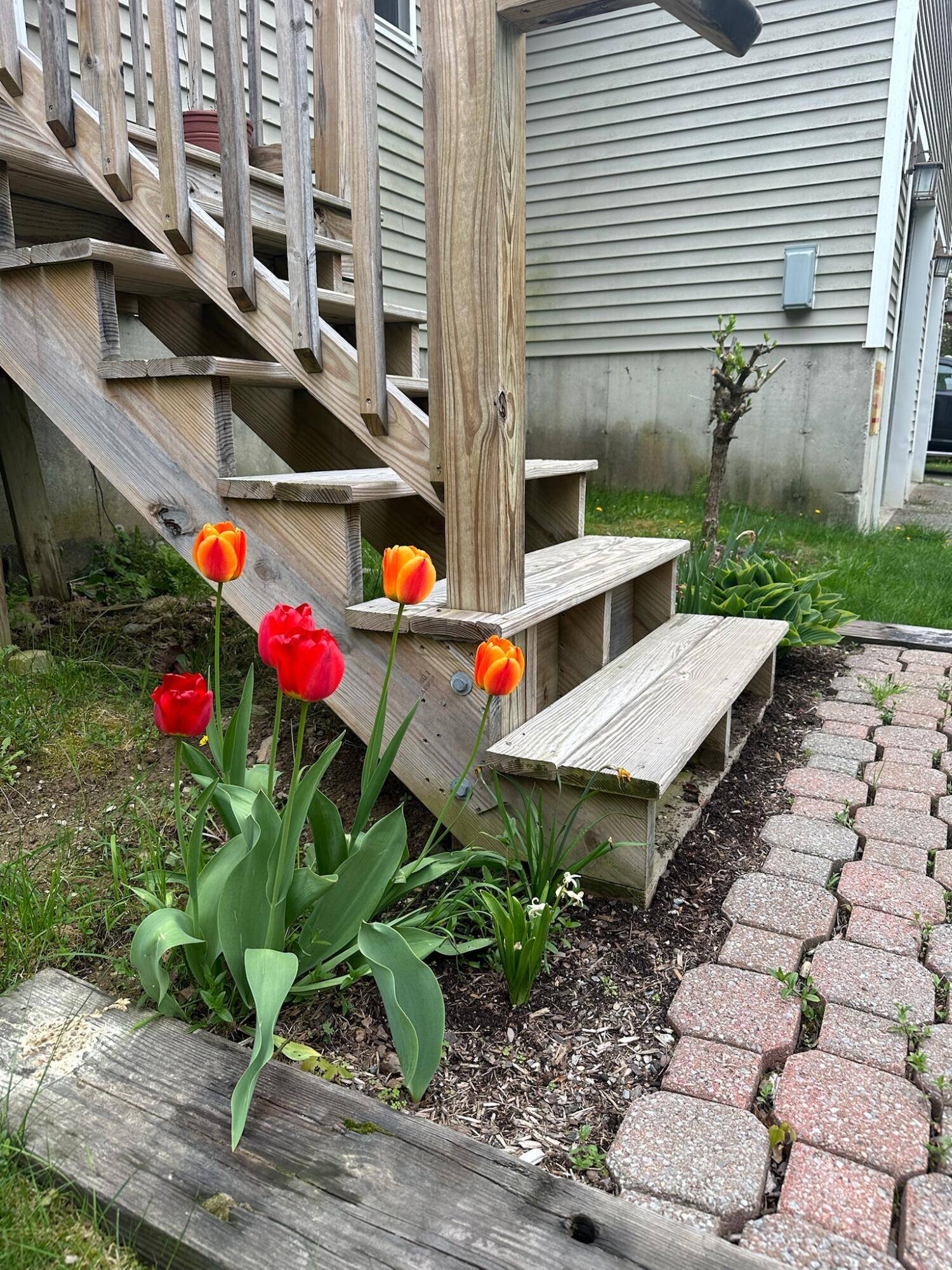 Orland, ME 04472,474 Leaches Point RD