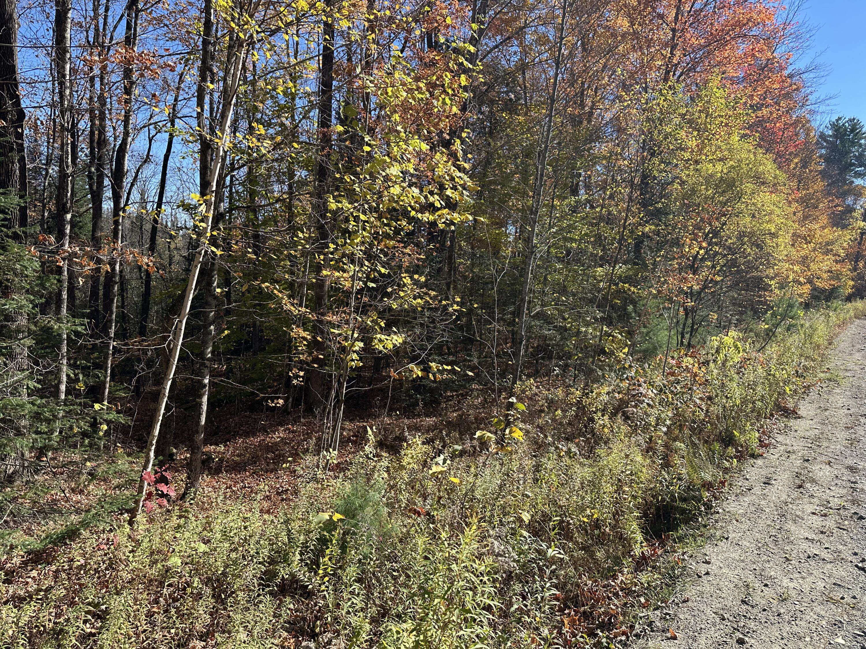 Starks, ME 04911,map6 lot1 Mayhew Road