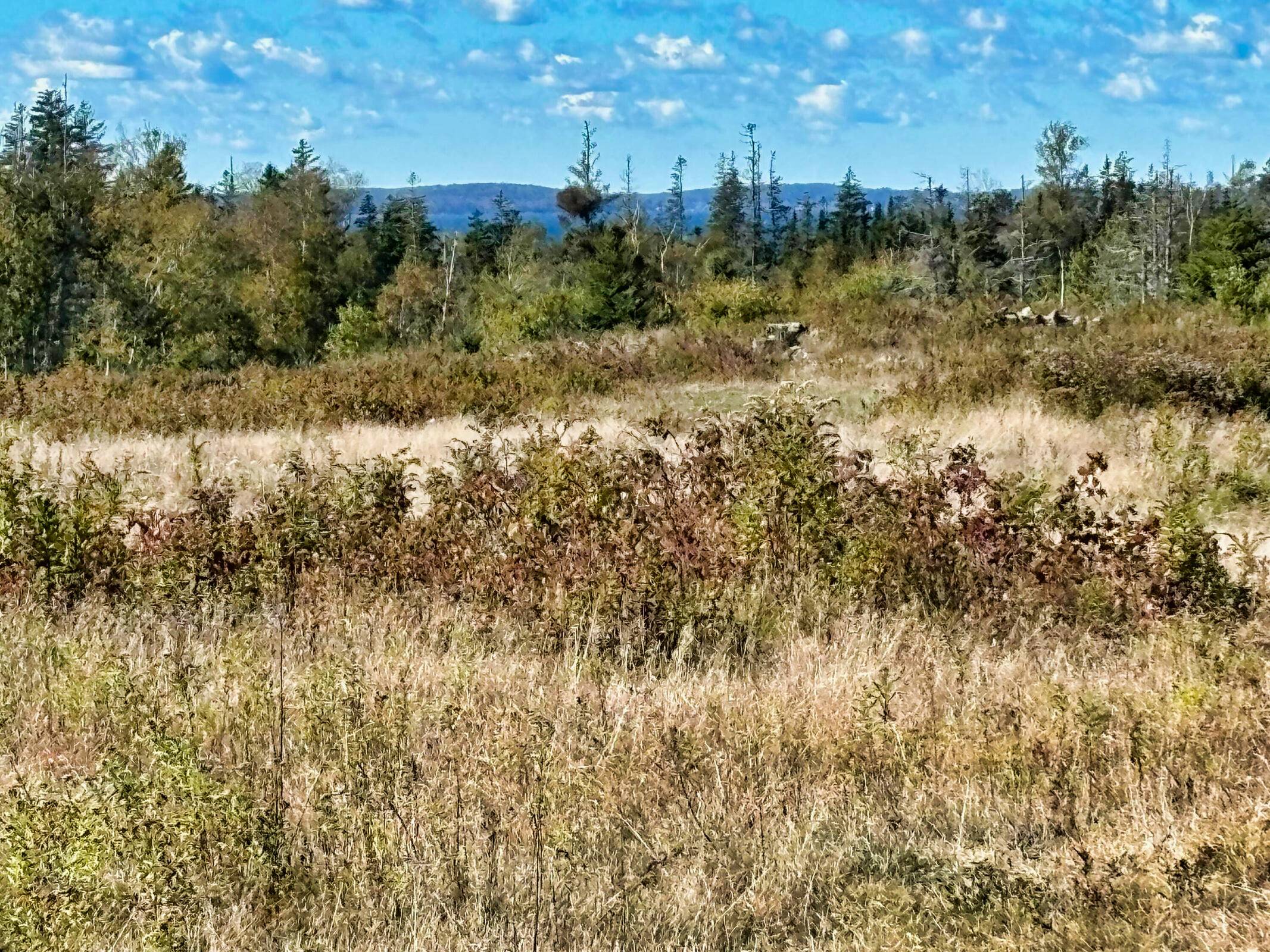 North Haven, ME 04853,274 West District RD