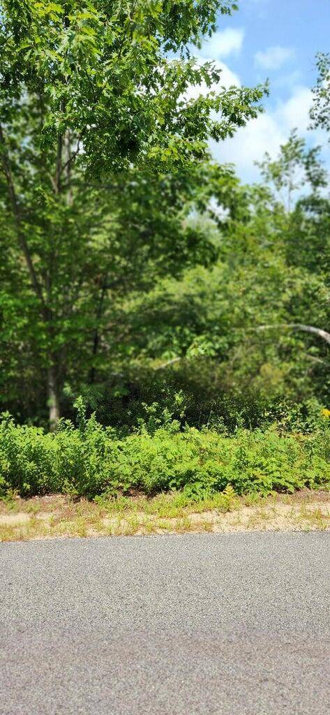 Parsonsfield, ME 04047,Lot#33 Shore Acres RD