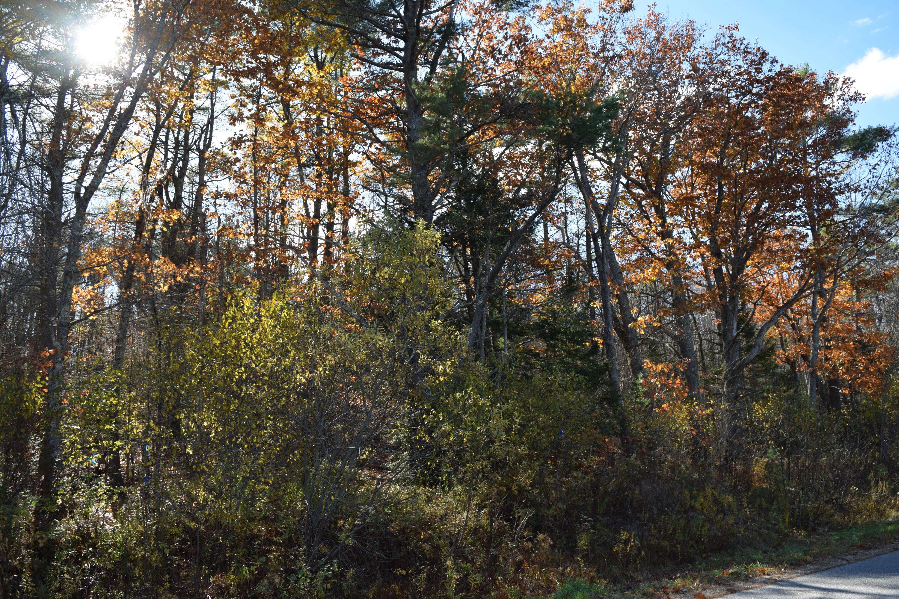 West Gardiner, ME 04345,Parcel #3 Natalie DR