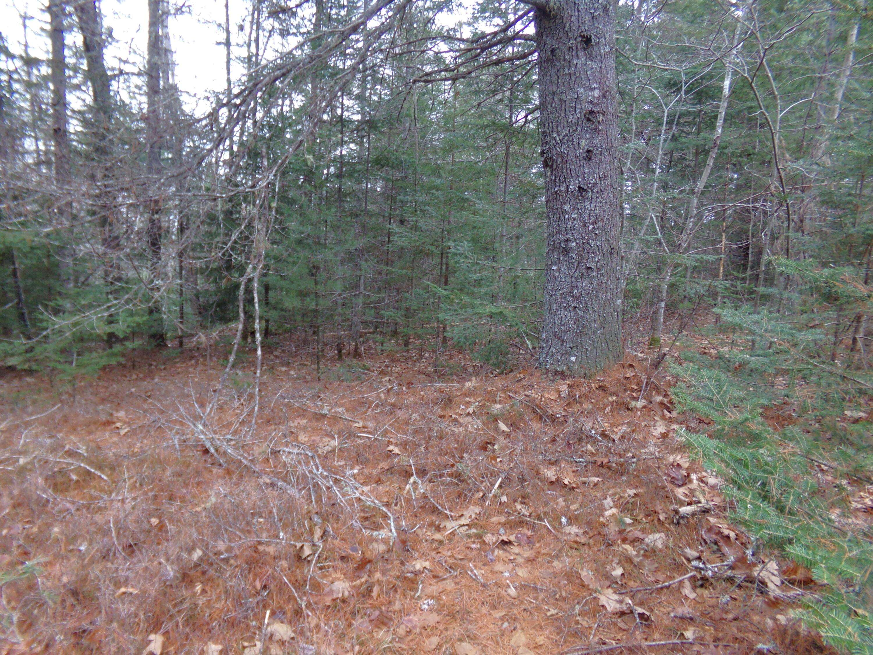 Steuben, ME 04680,Lot 3E Rogers Point RD