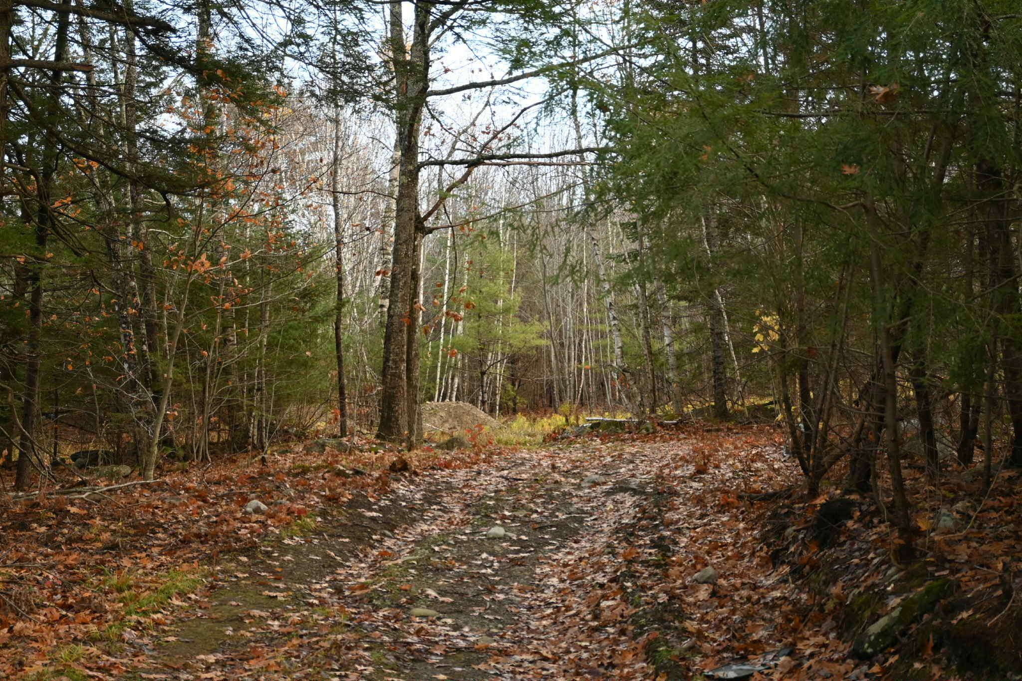 Union, ME 04862,603 Shepard Hill RD