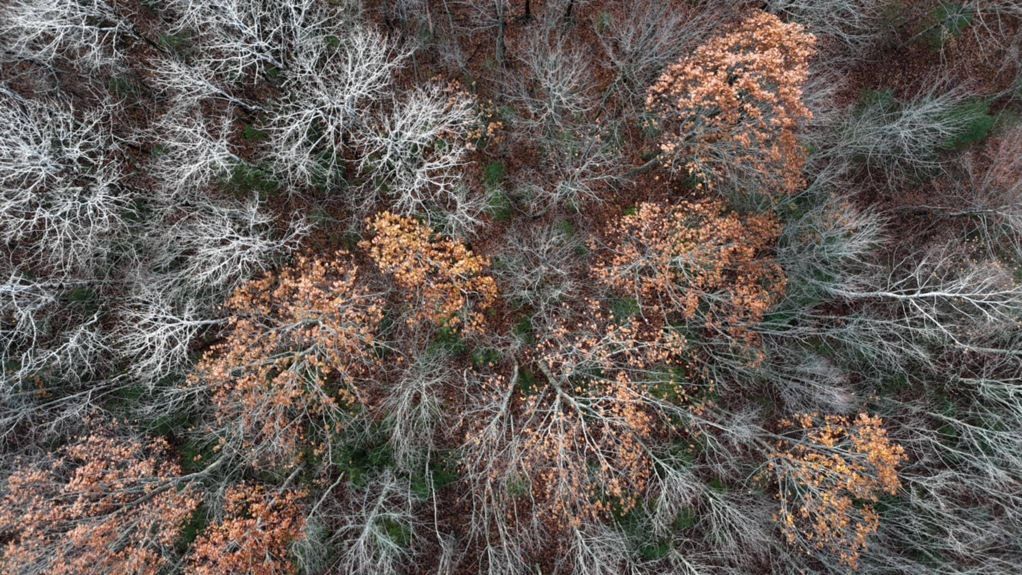 Union, ME 04862,603 Shepard Hill RD