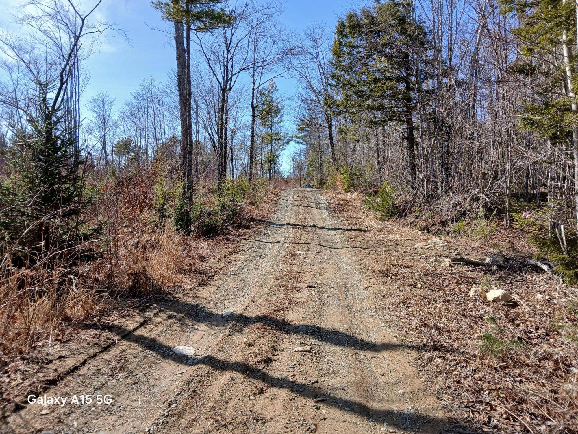 Bristol, ME 04539,Map10 L39B Christian Hill RD