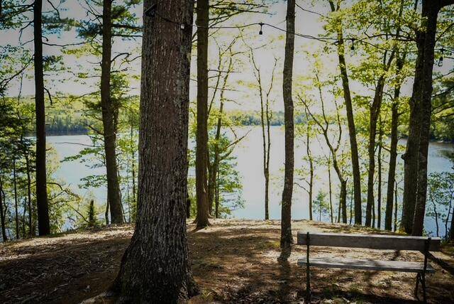 Winterport, ME 04496,55 Lower Oak Point RD