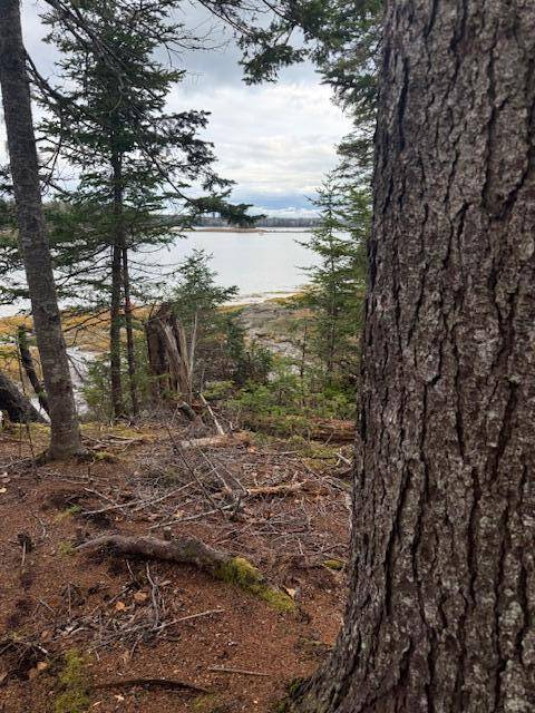 Steuben, ME 04680,11 Quiet  Shore RD