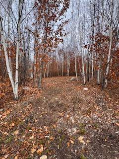 Harrison, ME 04040,Lot #3 Skyview RD