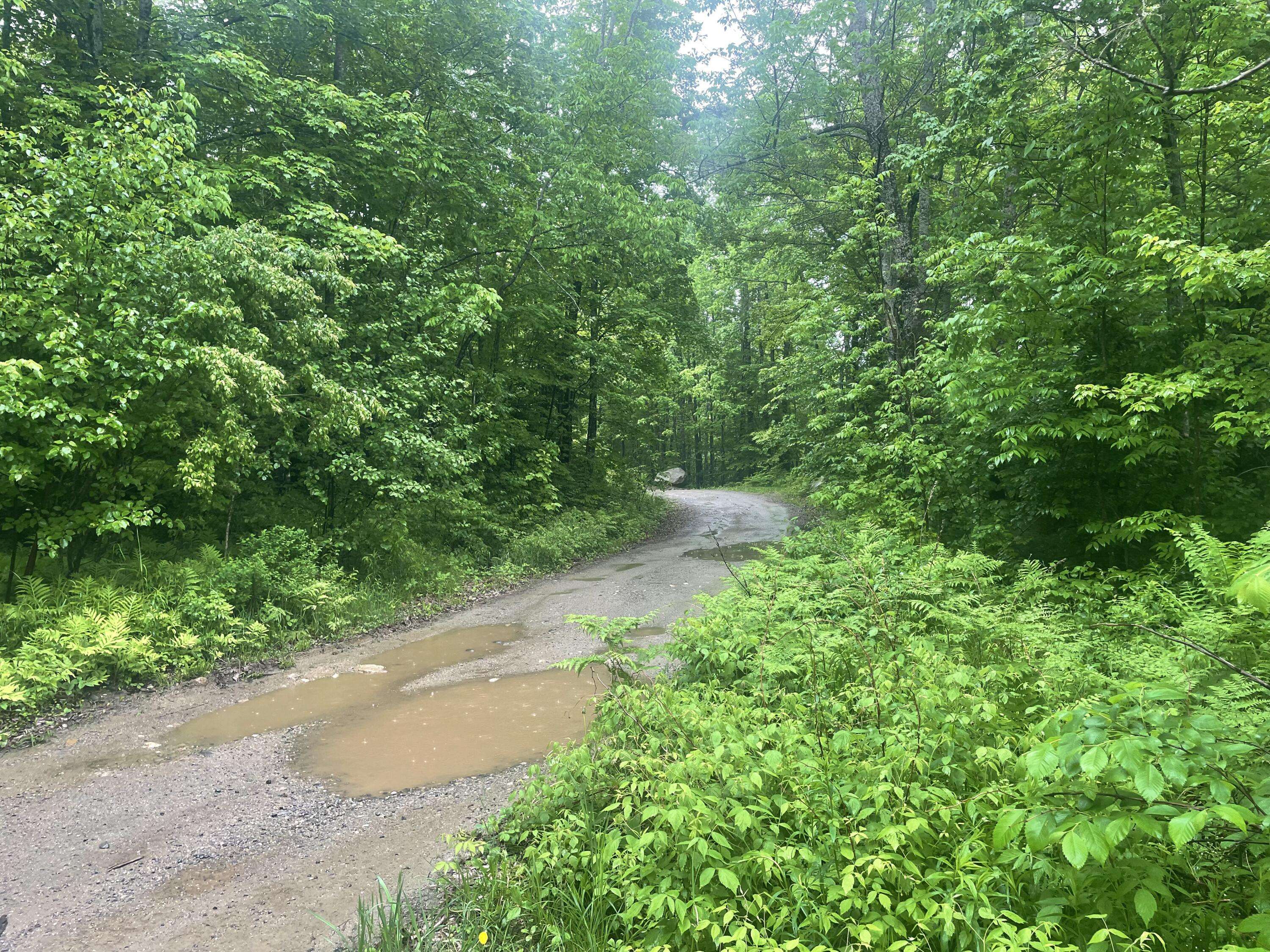 Avon, ME 04966,R6L13 Dickey Mills RD