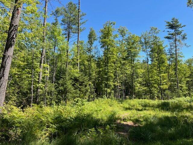 Andover, ME 04216,Lot 045 Sawyer Notch RD