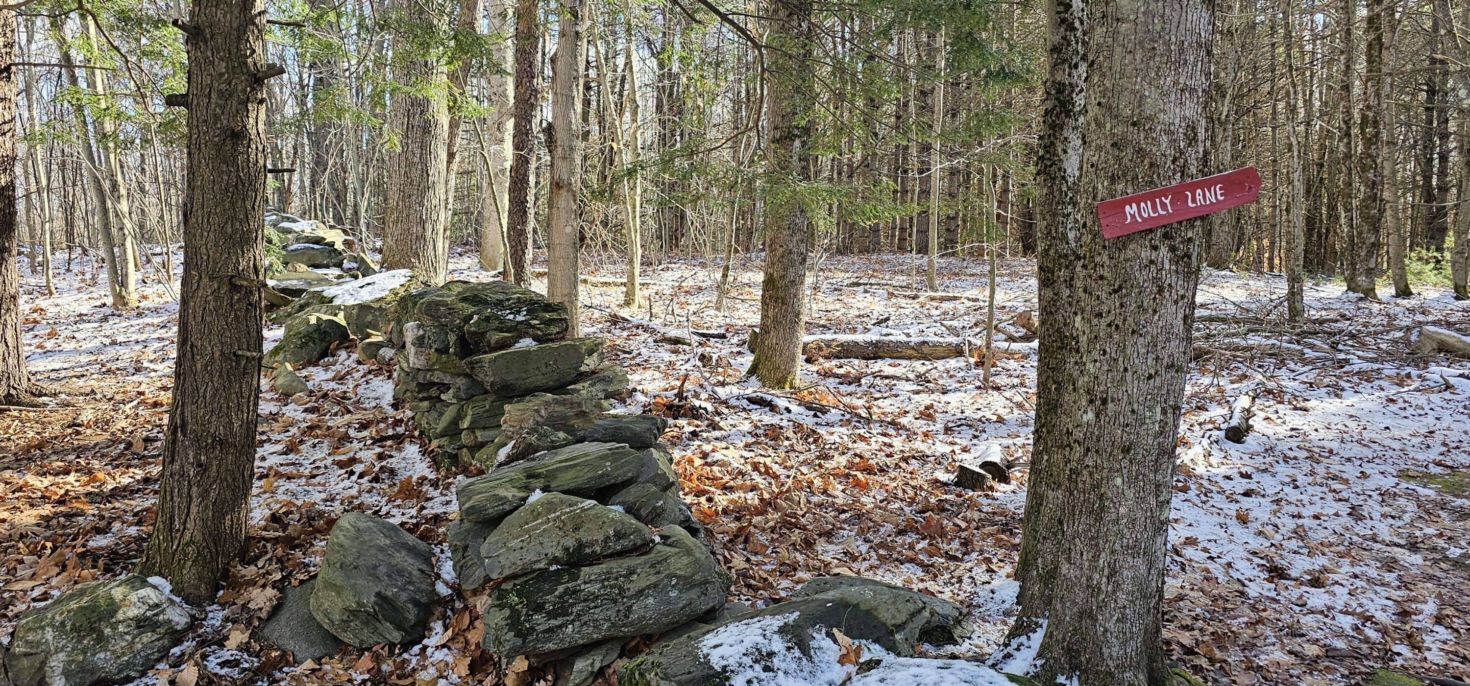 Oakland, ME 04963,430 E Side TRL