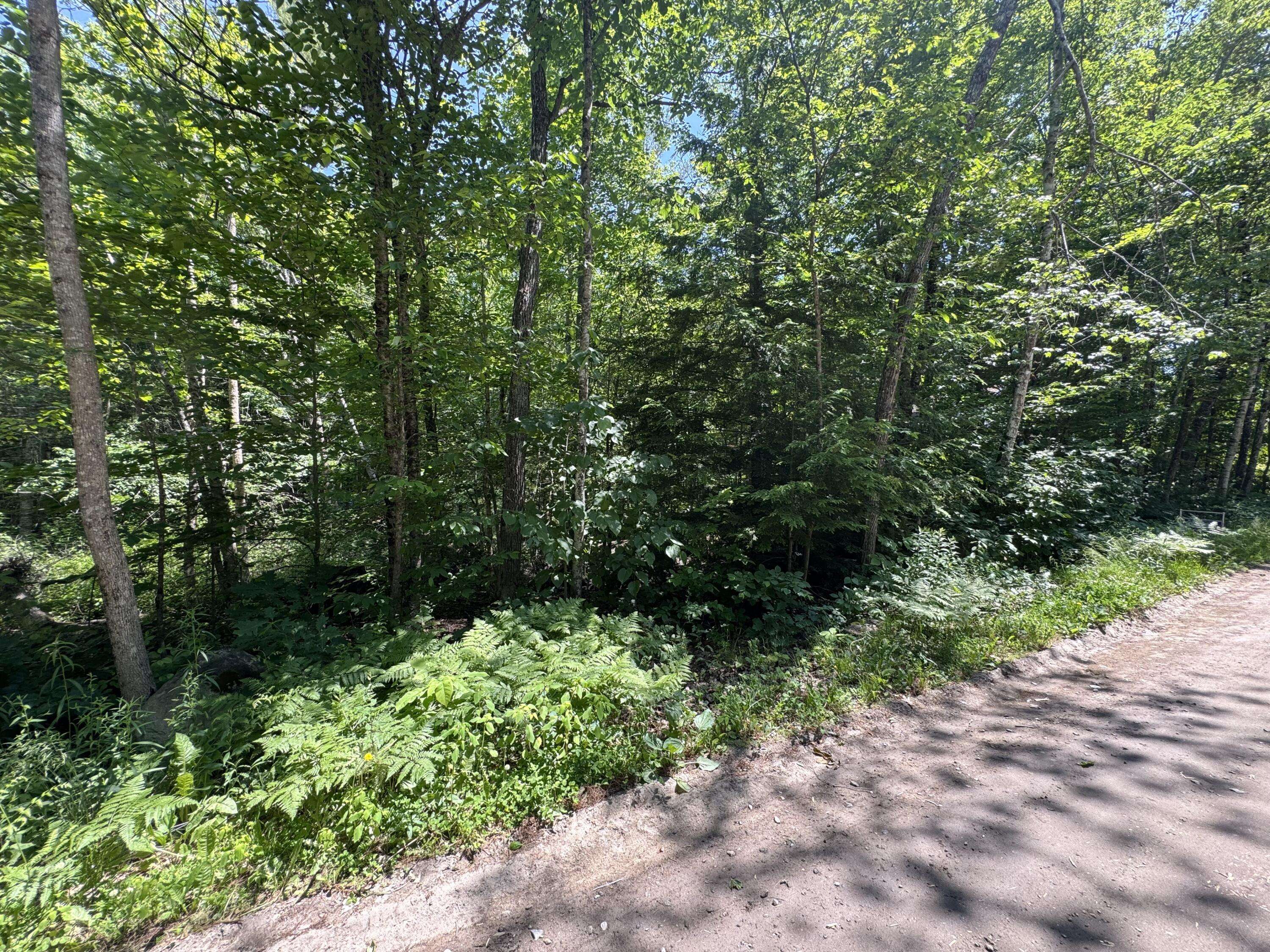 Casco, ME 04015,Lot 19 Thomas Pond Shore RD