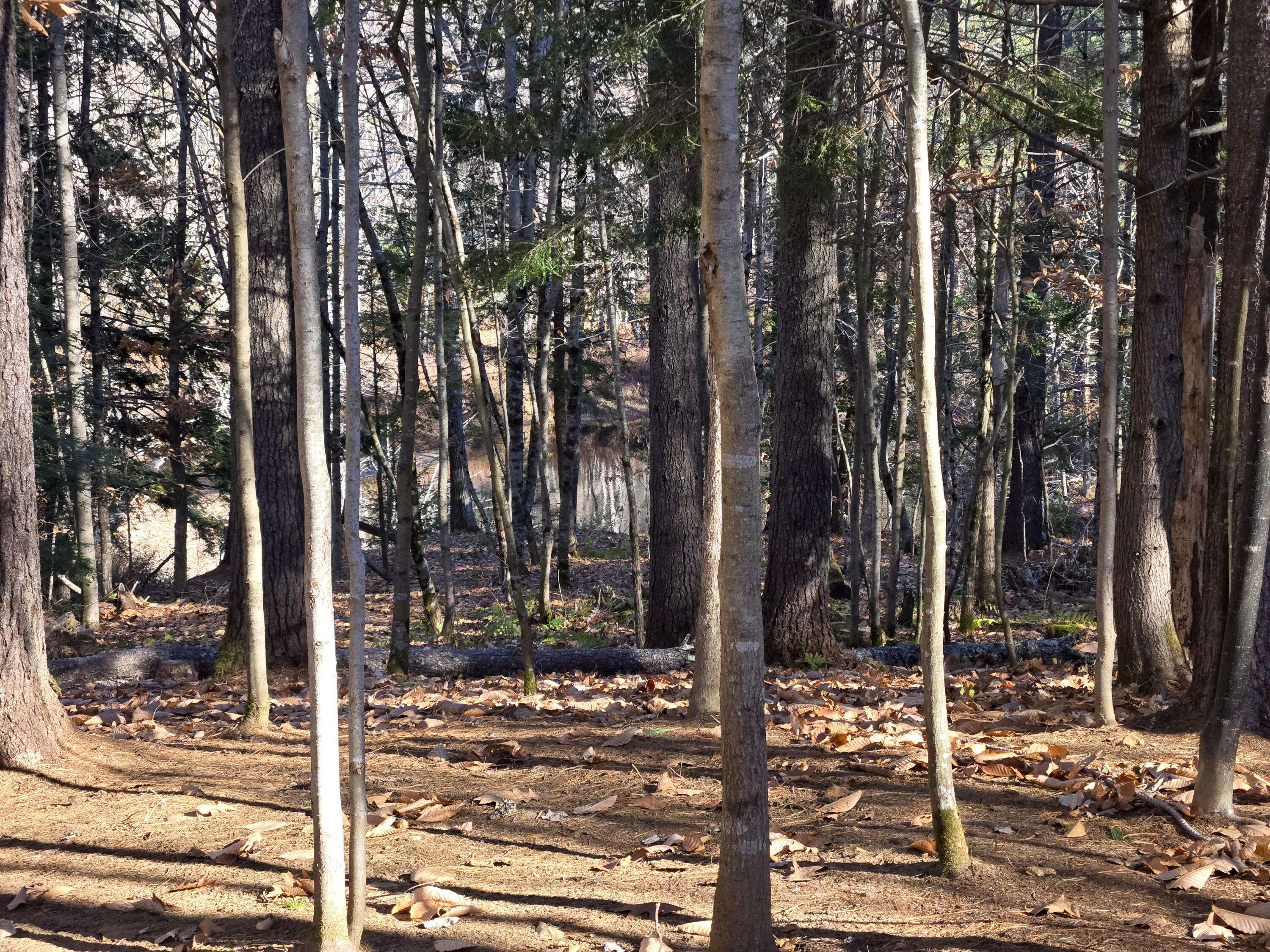 Naples, ME 04055,31 Sand RD