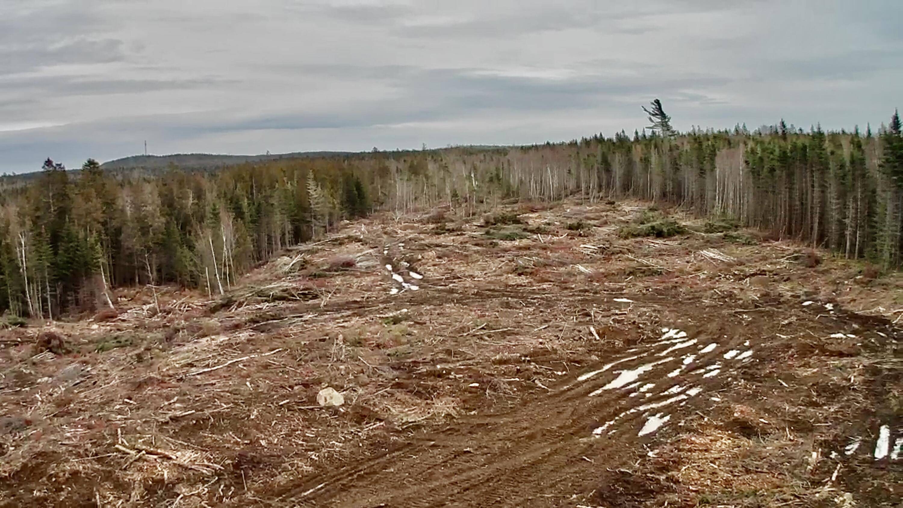 Whiting, ME 04691,L1 Lively Brook Acres