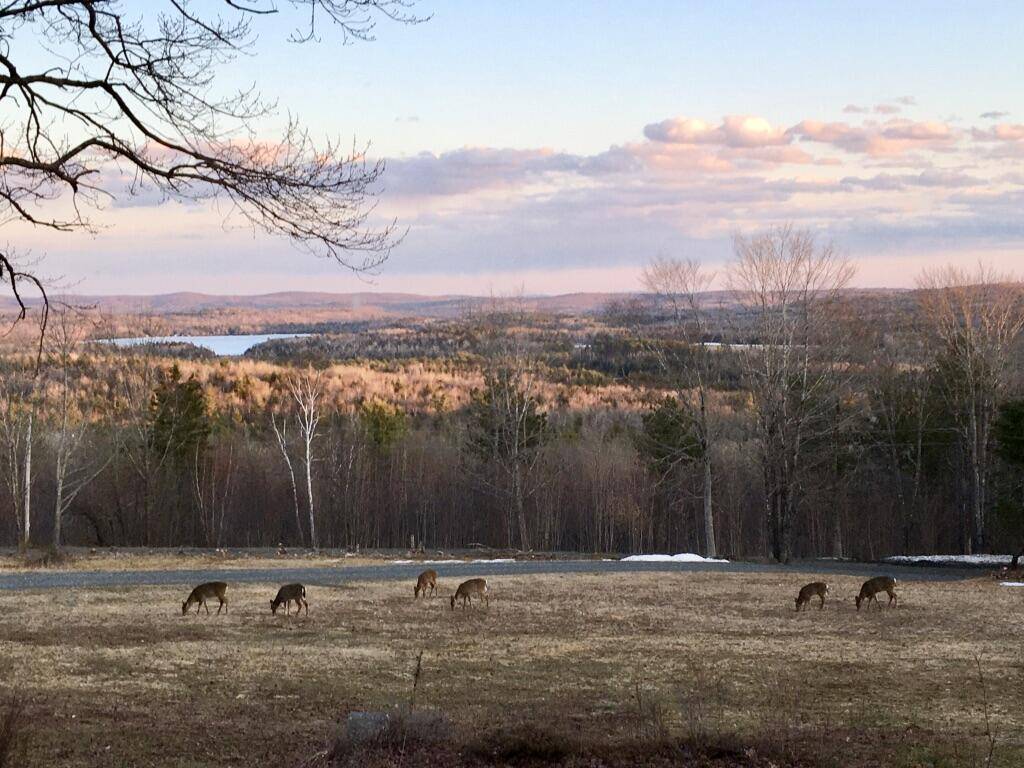 Sangerville, ME 04479,124 Gray RD