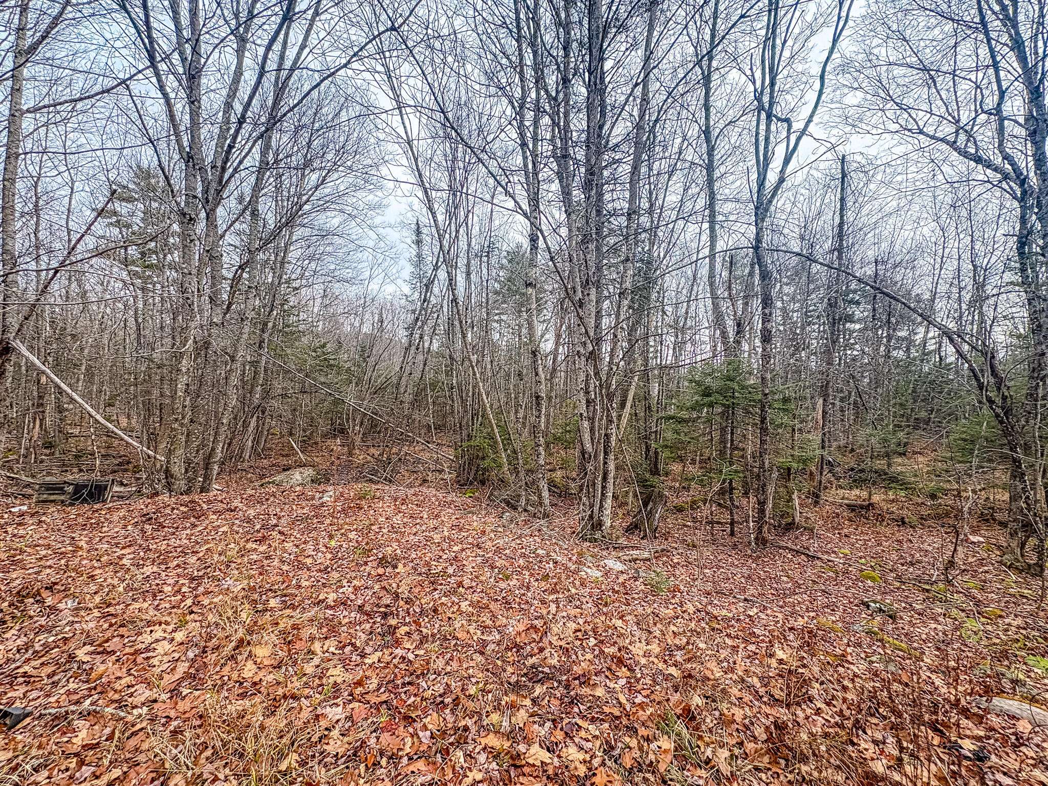 Bucksport, ME 04416,677 Millvale RD