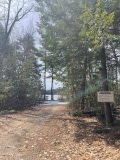 Gray, ME 04039,00 N Shore RD