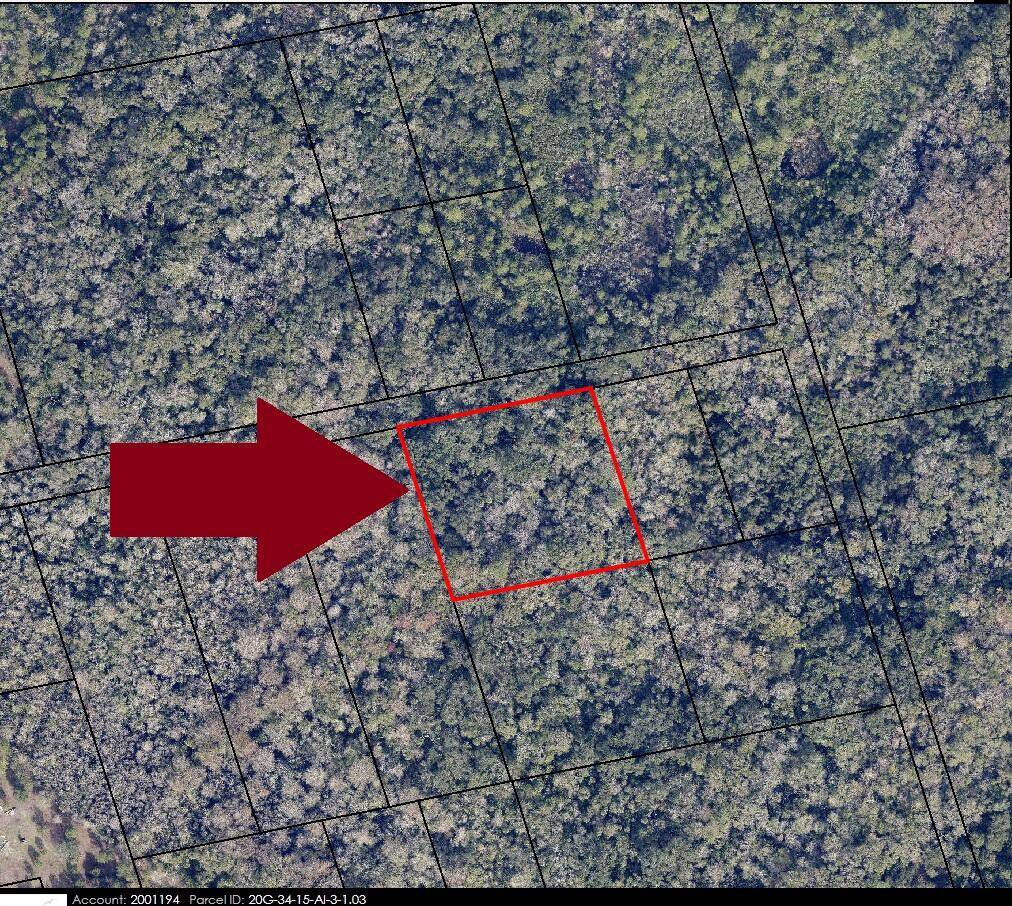 Mims, FL 32754,00000 No Access W Of Meadows Green RD