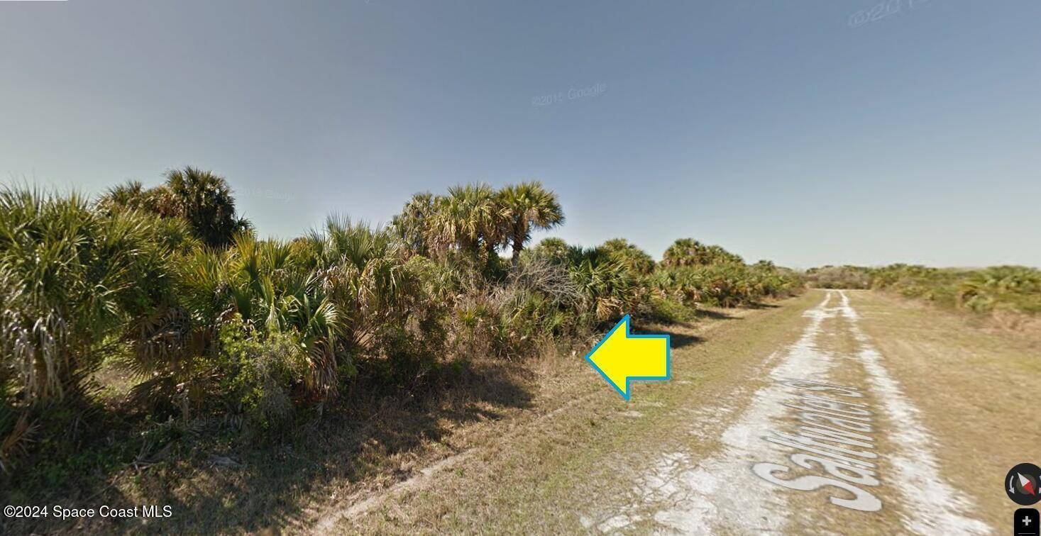 Palm Bay, FL 32908,842 Saltwater ST