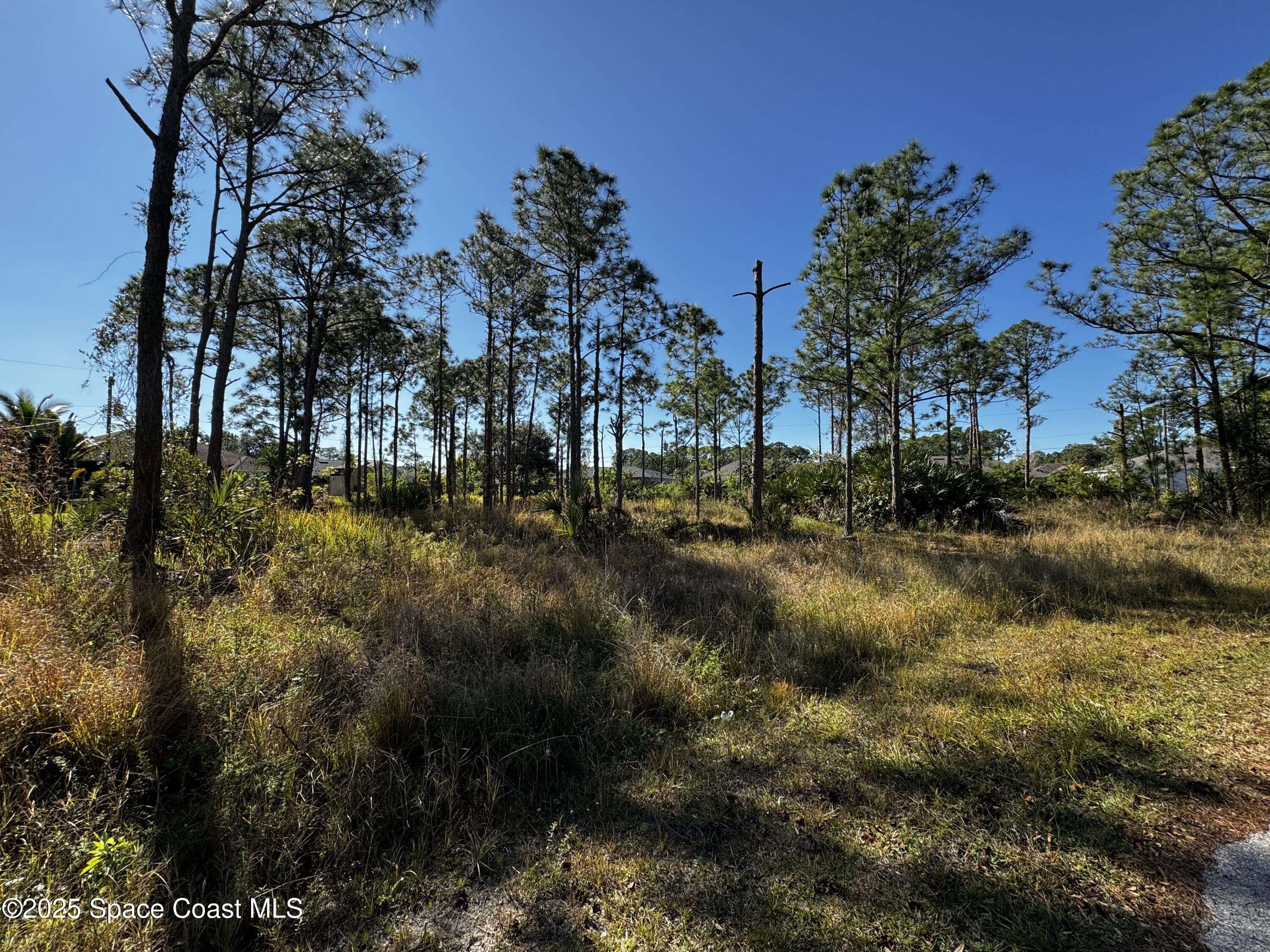 Palm Bay, FL 32909,2497 Palmarita ST SE
