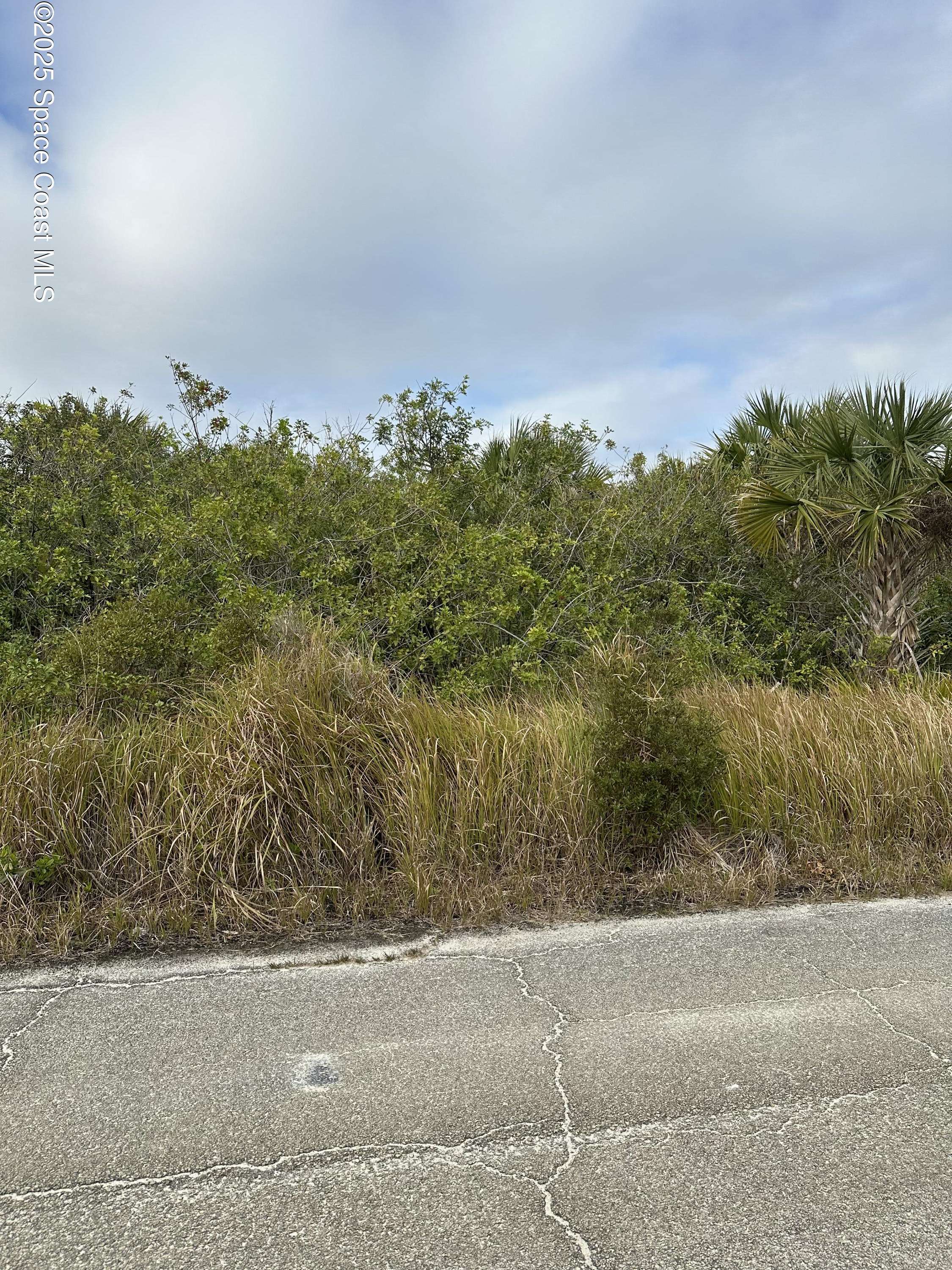 Palm Bay, FL 32908,1350 Merganser ST SW