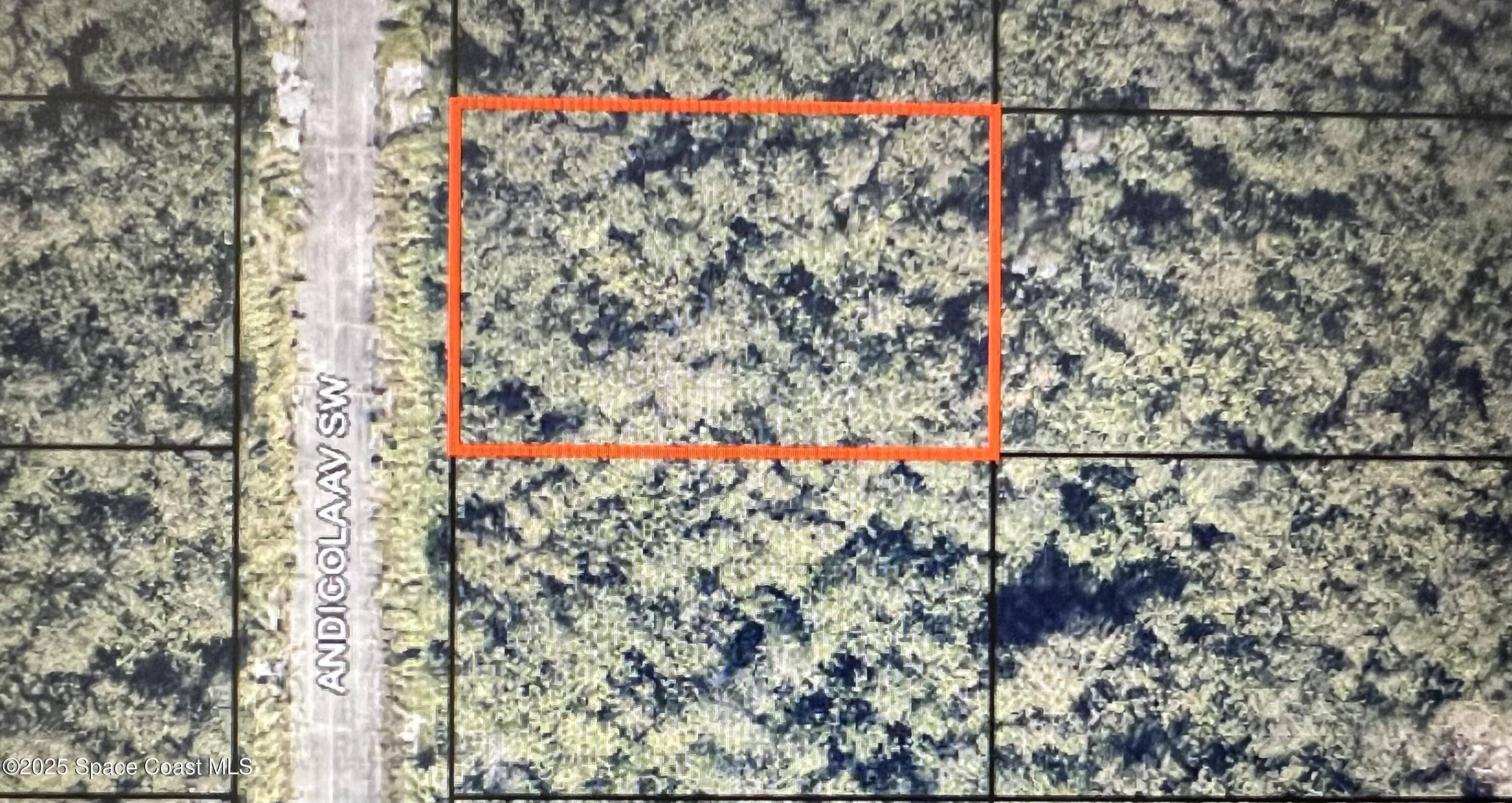 Palm Bay, FL 32908,1911 Andicola AVE SW