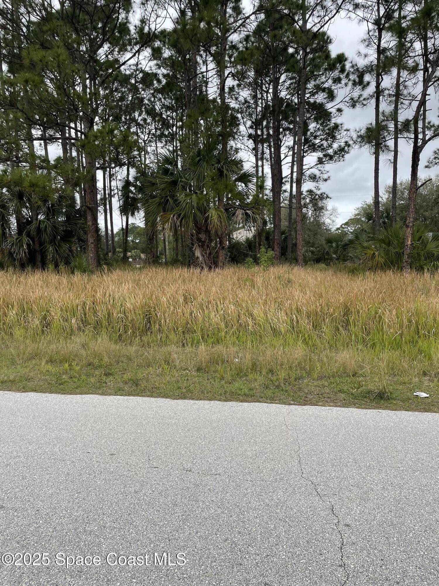 Palm Bay, FL 32908,257 Sawyer ST SW