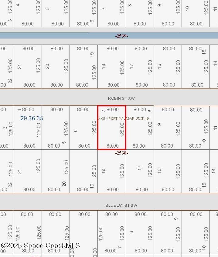 Palm Bay, FL 32908,846 Robin ST SW