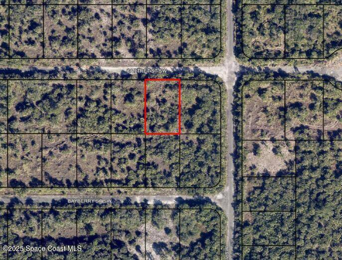 Palm Bay, FL 32908,1030 Cartret ST SW