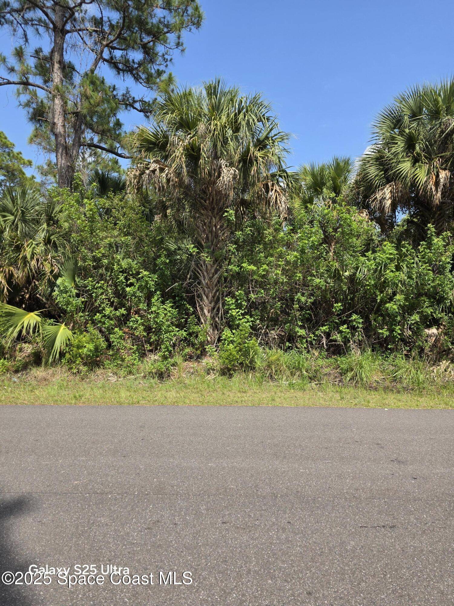 Palm Bay, FL 32908,2699 Fitzpatrick AVE SW