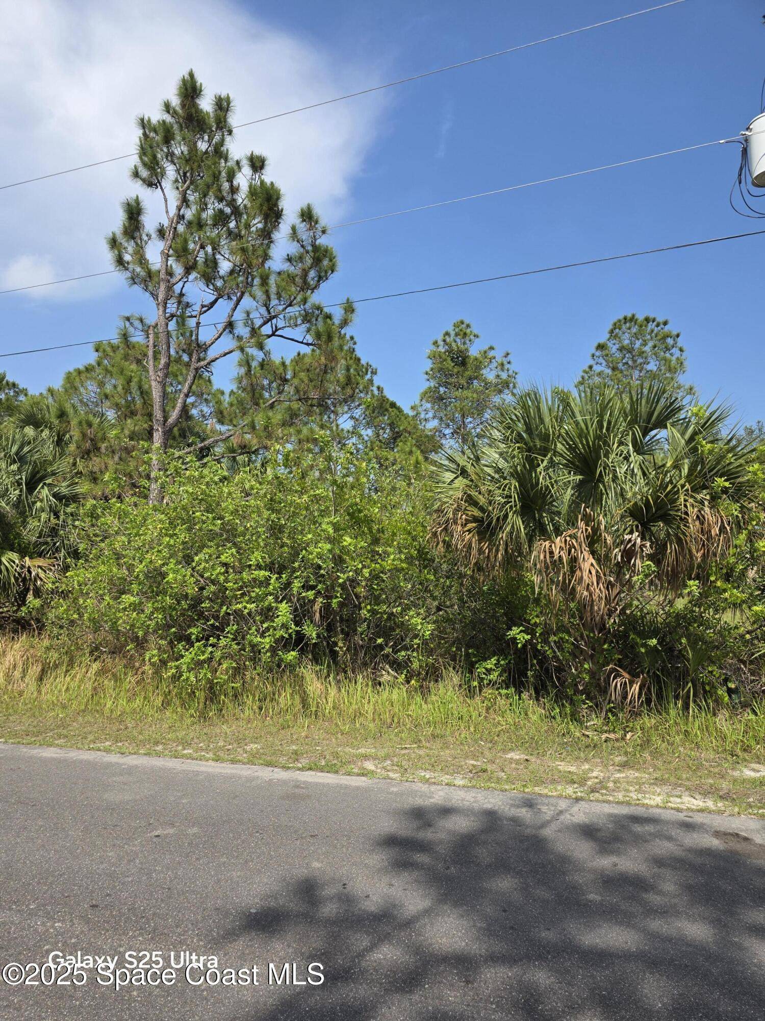 Palm Bay, FL 32908,2837 Fitzpatrick AVE SW