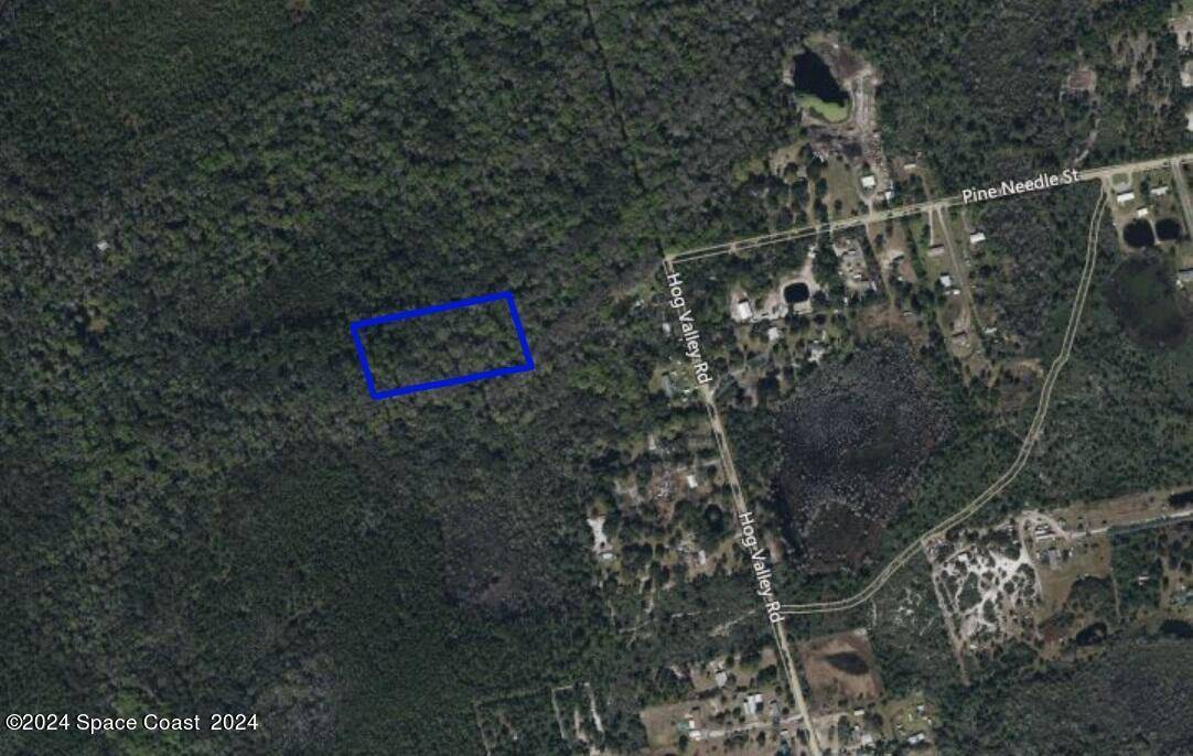 Mims, FL 32754,Xxx Pine Needle ST