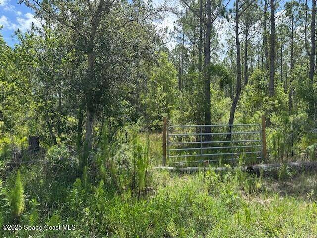 Mims, FL 32754,00000 Unknown
