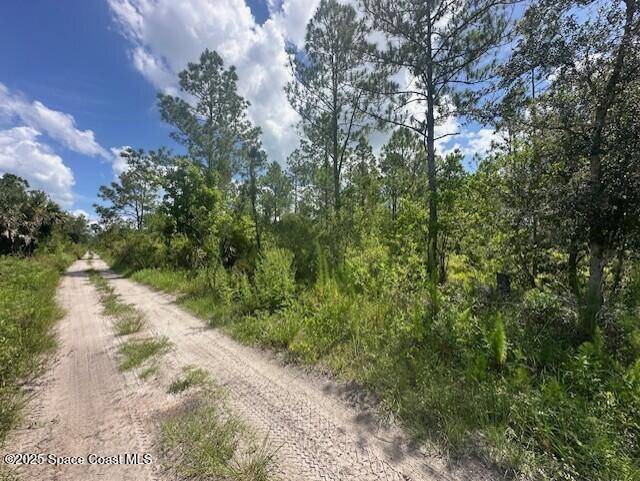 Mims, FL 32754,00000 Unknown