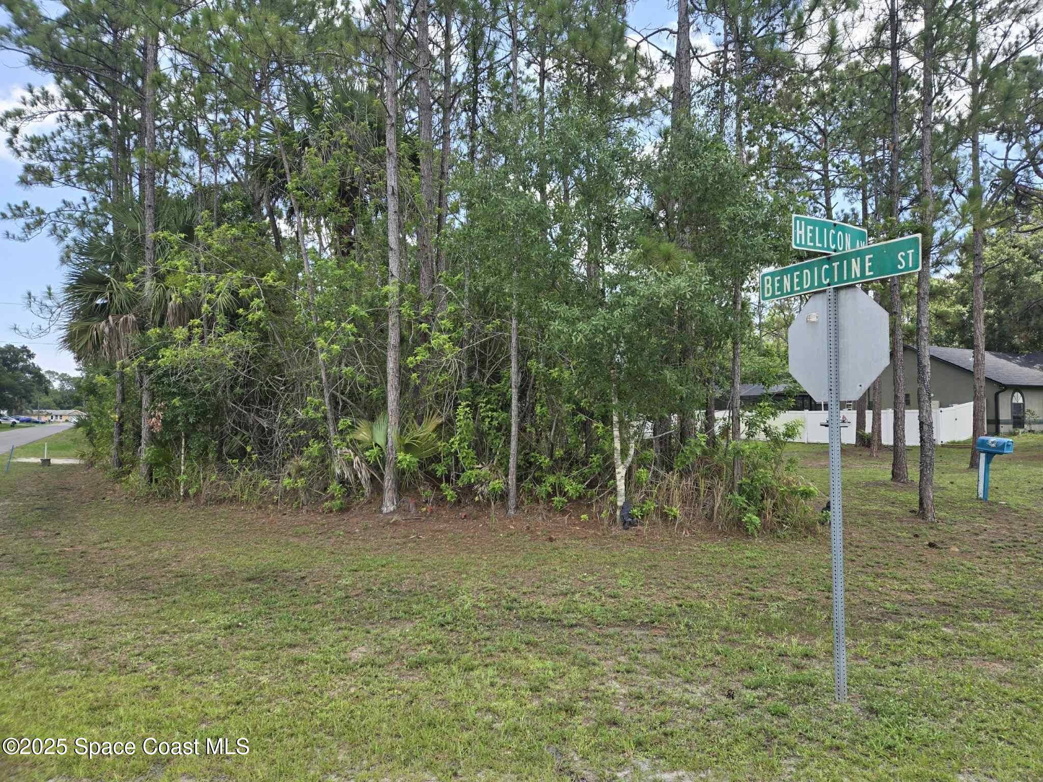 Palm Bay, FL 32907,491 Helicon AVE NW
