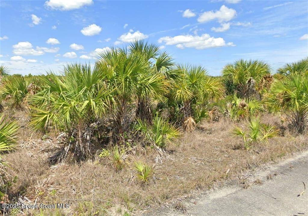 Palm Bay, FL 32908,955 Ponder ST SW