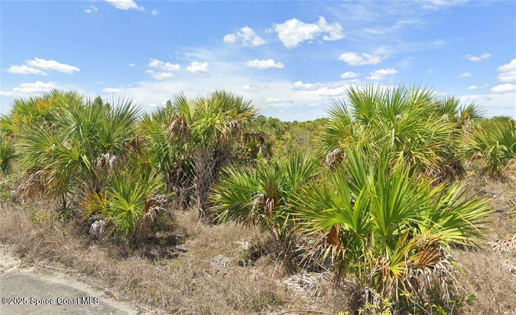 Palm Bay, FL 32908,955 Ponder ST SW