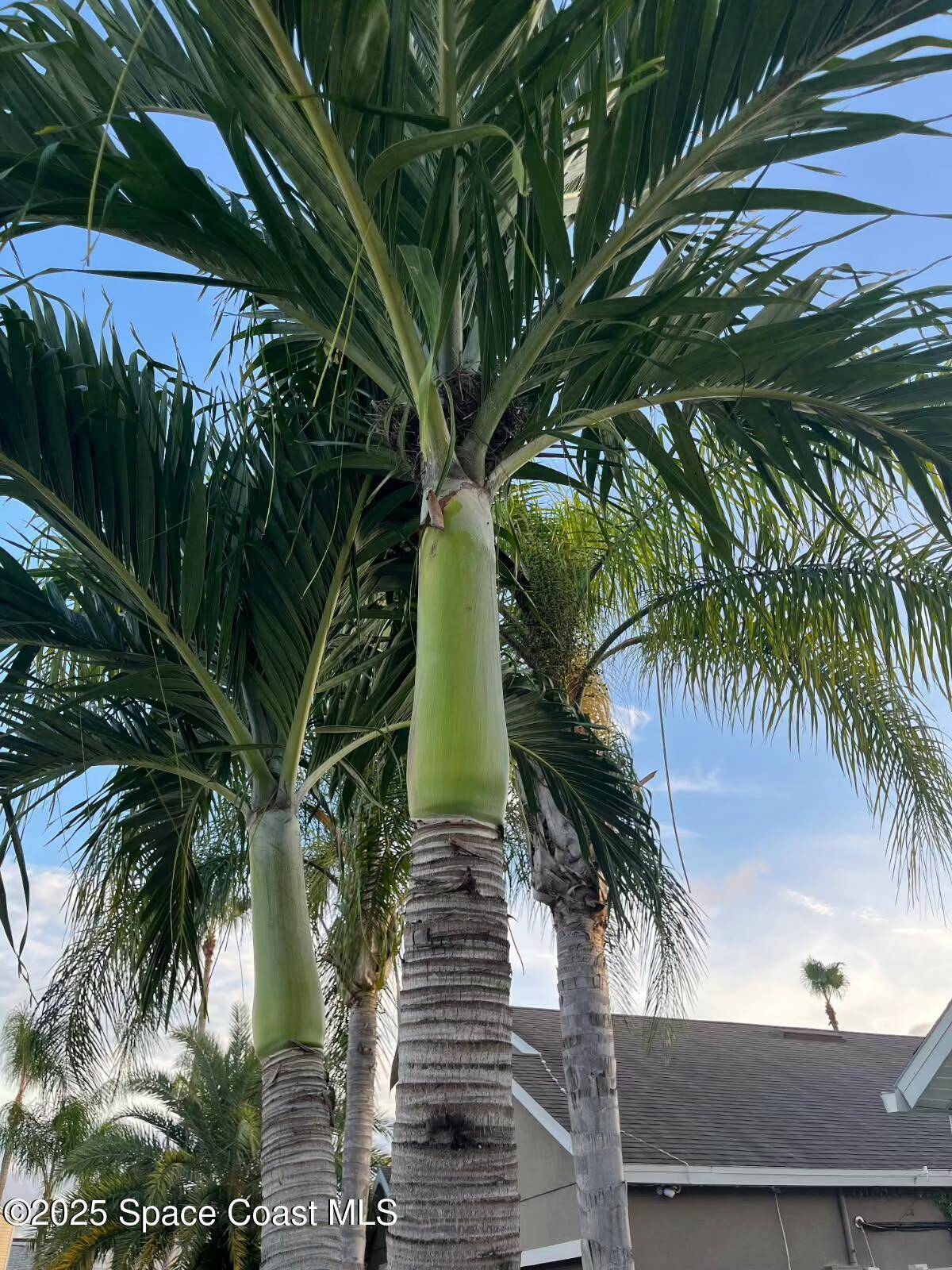 Rockledge, FL 32955,910 Swiss Pointe LN