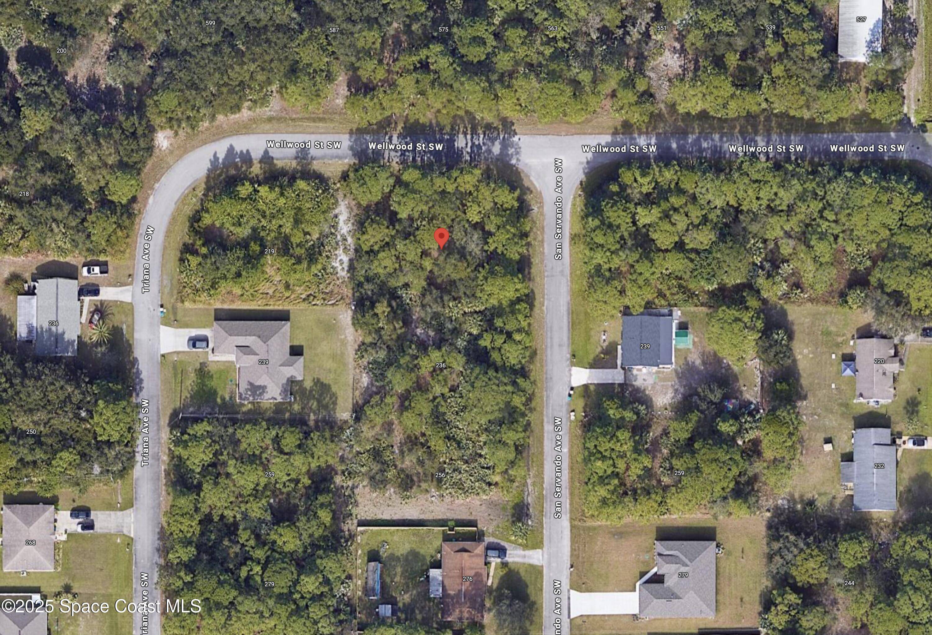 Palm Bay, FL 32908,216 San Servando AVE SW
