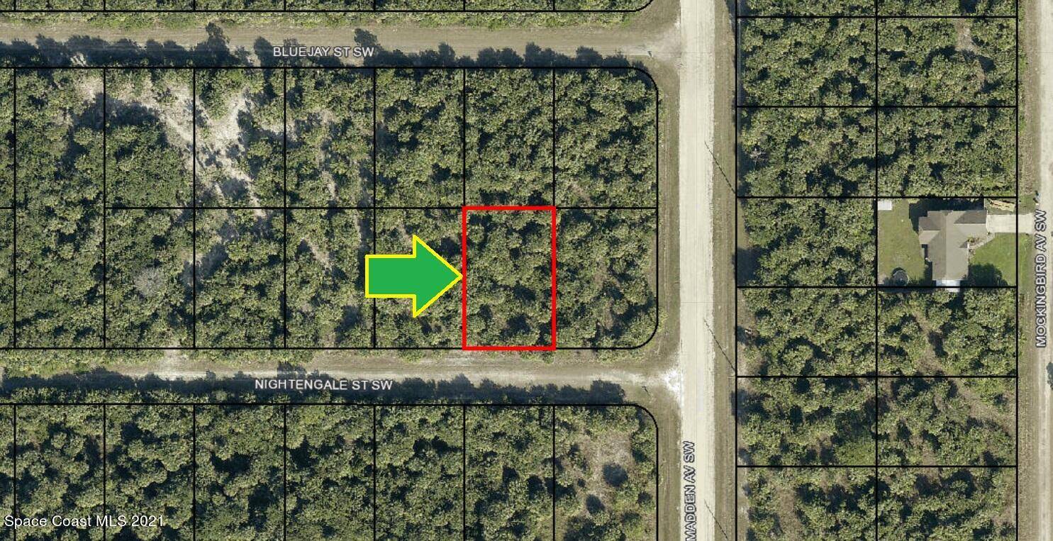 Palm Bay, FL 32908,815 Nightengale ST SW