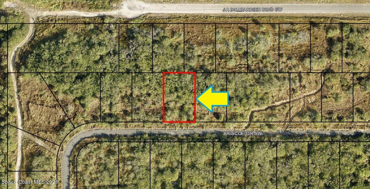 Palm Bay, FL 32908,1553 Briscoe CIR SW